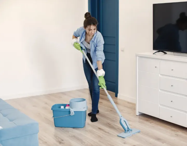 Femme de ménage Vernols